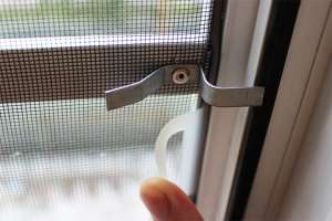 ������ � ��������� ���� � ������. ��������� �����. - ����������� 1