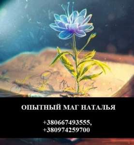 ������ � ���������. ������ � �������. ������� ���. - ����������� 1