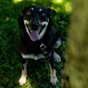 ������ � ���������! ������� ���� ���� ���! - ����������� 1