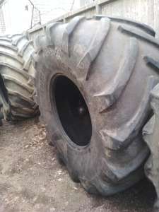 ������ �/� ���� ��� ��������� � ��������� - ����������� 1