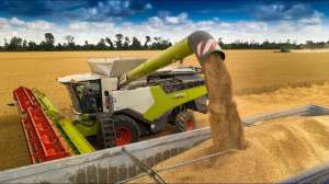 ������ �� ������ ������ ���������� ������,��������,�����,������ ��������,����,������� ������. - ����������� 1