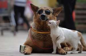 ������ �� ��������� �������� �� ������ � ������� - ����������� 1