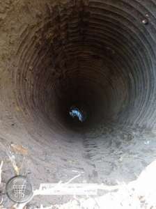 ������ �� ����������� ��������� �� ������� ������� � ����. - ����������� 1