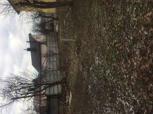 ������ ��� +10 ����� ����� ���� - ����������� 1