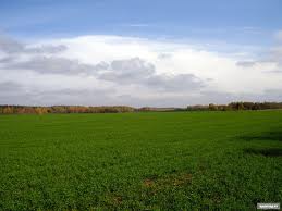 ������ ��� 5.40 ��. - ����������� 1