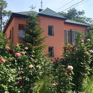 ������ ��� � ������ �������� � ���� �� ������� - ����������� 1