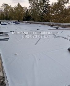 ������ ��� ����. ��� �� ���� - ����������� 1