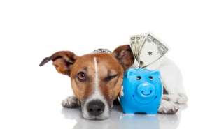 ������ ��� ����� ��������, ���� ��� 1,5% � �����. - ����������� 1