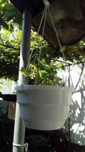 ������ ��� ������ ��������� (�����) �� ������ - ����������� 1