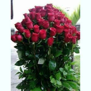 ������ ��� ������� � �����������!!!! - ����������� 1