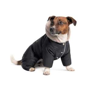 ������ ��� �������� �����, ������� ������� - ����������� 1