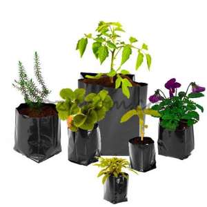 ������ ��� ��������: ������ ���� �������� - ����������� 1