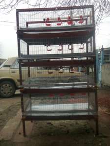 ������ ��� ���������� ��������� - ����������� 1