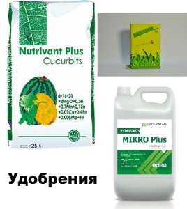 ������ ��� �����������. ���������. ������� ����������� - ����������� 1