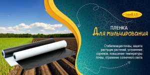 ������ ��� ������������� - ����������� 1