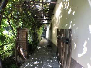 ������ ��� ���������������, 13�. ��� ��������. - ����������� 1