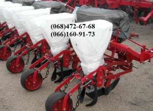 ������ ���� - 6 ( ��� ) ���������������� - ����������� 1