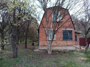 ������ ���� � ���. ����������, ��������� �����, ����������� ���. - ����������� 1