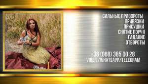 ������ ���� � ��������. �������� �������� �������. - ����������� 1