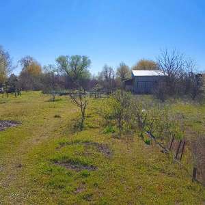 ������ ���� �� ������. 6 ������ ������ - ����������� 1