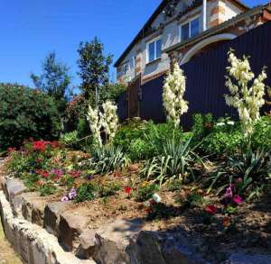 ������ ���� ��� � ����� ��������� �������� - ����������� 1