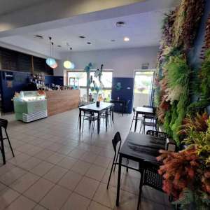 ������ ���� ���� ���� � ������ � ��������� ������� ������� - ����������� 1