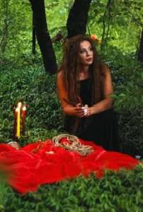 ������ ���� �����. ������ �������� �����. - ����������� 1