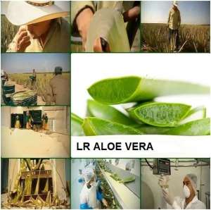 ������ ����. ����� �������� 10 ��. Aloe Vera ���������� �������� � ��������!!! - ����������� 1