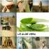 ������� � ����������: ������ ����. ����� �������� 10 ��. Aloe Vera ���������� �������� � ��������!!!