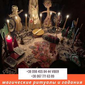 ������ ���� �����. ���������� ������ �����. ������� �����. - ����������� 1