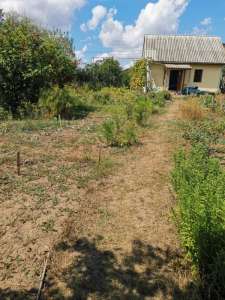 ������ ���� �������. - ����������� 1