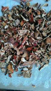 ������ ���� ������� ������� ����� - ����������� 1