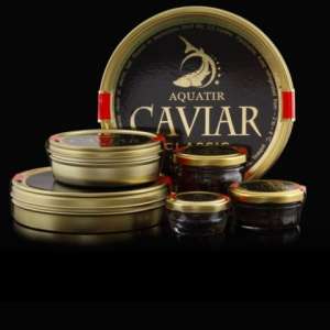 ������ ���� �������� - ����������� 1