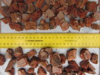 ������ ���� �������� - ����������� 1