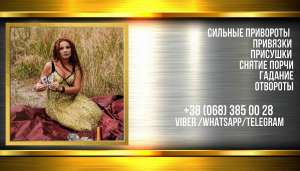 ������ ���� ���������. �������. ���������. ������� �������. - ����������� 1