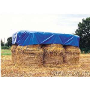 ������ ���� ��������� ������������ ������� - ����������� 1