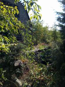 ������ ����, ����������� ������ ������ - ����������� 1