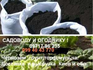 ������ ����� � ������ - ����������� 1