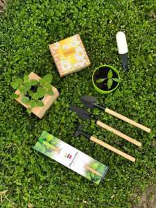 ������ ����� � ���������. ���� �� ������ - ����������� 1