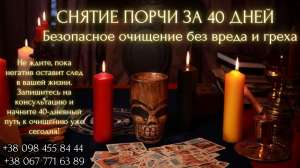 ������ ����� �� 40 ���� � ��� ����� � �����. - ����������� 1