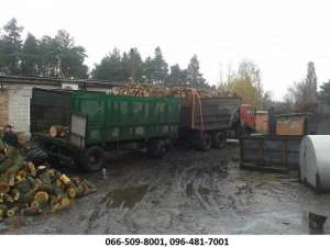 ������ �����. ��� �����, ��������. - ����������� 1