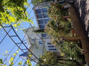 ������ �����, ���. �����, ����������� �-� - ����������� 1