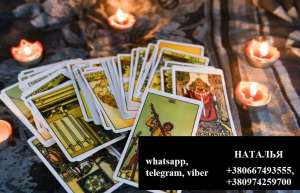 ������ ����� ���� ������ ���������. ���� �������� ������. ���������� �����������. - ����������� 1