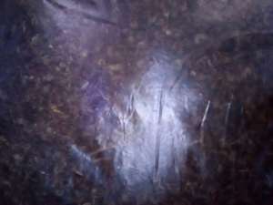 ������ ����� ���� ��������� ���� / �����. ����. ������. ������� - ����������� 1