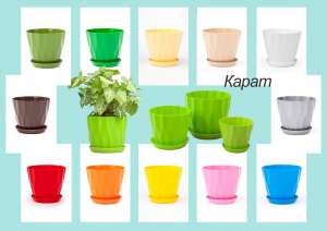 ������ ����� ����� ��� ������� � ������ ��� ������� �� ��������� - ����������� 1