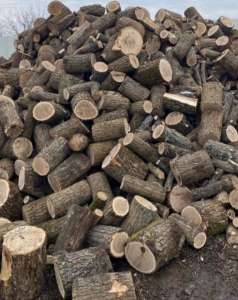 ������ ����� ����� ����� - ����������� 1