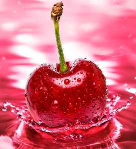 ������ ����� ������ ������ ��������� - ����������� 1