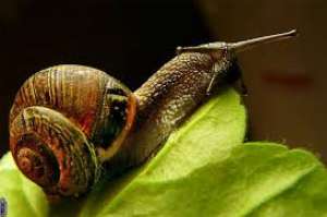 ������ ����� ������ - ��������� ����� - ����������� 1