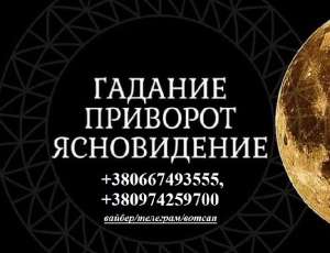 ������ ����� ������ ���������. ������� �������. - ����������� 1