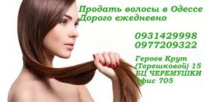 ������ �����. ������� ������. ������ ������. - ����������� 1